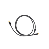 Shunyata Research GAMMA USB variant 1