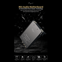 Cayin R01 R-2R Audio Motherboard variant 1