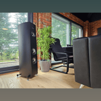 Acoustic Energy corinium variant 8