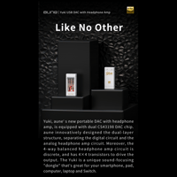 Aune Yuki USB DAC with Headphone Amp variant 4