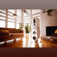 PS Audio Aspen FR20 Loudspeaker variant 2