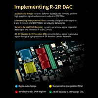 Cayin N6ii-Ti variant 4