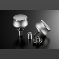 Esoteric F-01 variant 13