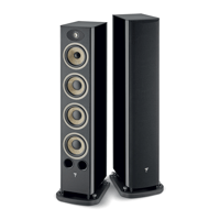 Focal Aria Evo X N°3 variant 6