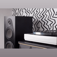 Linn Selekt LP12 variant 2