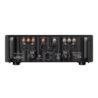 Jeff Rowland Continuum S2 variant 3