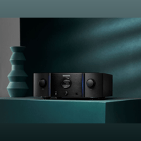 Marantz PM-10 variant 6