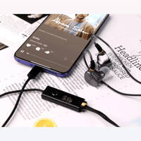 RAPTGO RAPTGO MR-10 Type-C Audio Cable: 0.78mm/2PIN, Advanced DAC Technology variant 2