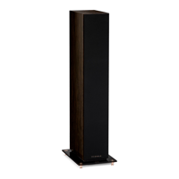 Triangle Esprit 40th - Antal 40th variant 6