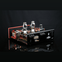 SW1x AMP IV “Aura” Integrated Amplifier variant 8