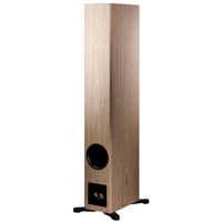 Dynaudio Evoke 50 variant 15