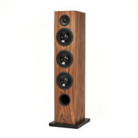 Xavian Torretta variant 1