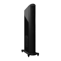 GoldenEar T44 Hybrid Floorstanding Loudspeaker variant 8