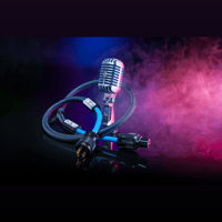 Siltech Cables Ruby Crown Power variant 3