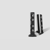 Borresen Acoustics Børresen C2 variant 1