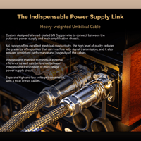 Cayin Soul 170HA variant 12