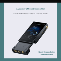 Cayin T201 Audio Motherboard variant 2