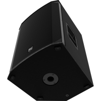 Electro-Voice EKX-15P variant 5