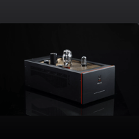 SW1x MPA III “Oracle” Mono Power Amplifier variant 18