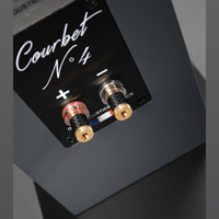 Davis Acoustics Courbet N°4 variant 6