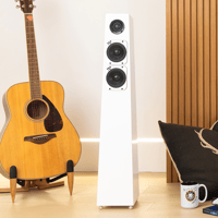 Totem Acoustic Tribe Tower variant 3