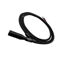 Tara Labs The Echo Live variant 2