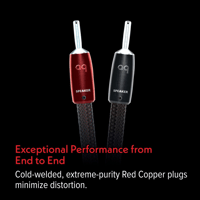 AudioQuest Brave Heart Full-Range variant 6