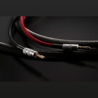Audiovector Audiovector Zero Cables variant 4