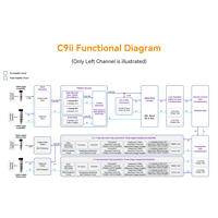 Cayin C9ii Titanium Color Edition variant 20