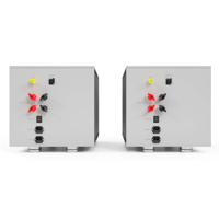 Pilium Audio Hercules Mono Power Amplifier variant 4