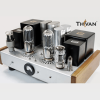 ThivanLabs Special ultimate monoblock 845PP Amplifiers variant 8