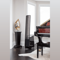 MartinLogan ElectroMotion  FX2 variant 3