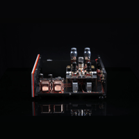 SW1x LPU IV Phono Pre-Amplifier variant 15