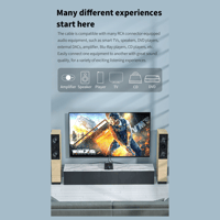 FiiO Dual RCA Analog Audio Adapter variant 8