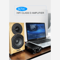 FX Audio FX502PRO TPA3250  digital amplifier variant 14