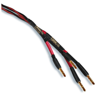 Audience OHNO XLR variant 4