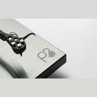 Rega Planar 3 RS variant 7