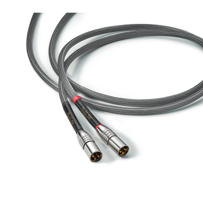 Audience Au24 SX XLR