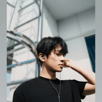 Sennheiser IE 200 Silver variant 3