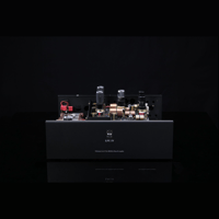 SW1x LPU IV Phono Pre-Amplifier variant 10