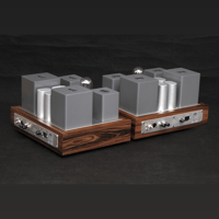 ThivanLabs 211 POWER MONOBLOCK variant 6