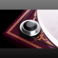 Pro-ject Audio Systems - USA George Harrison Recordplayer variant 4