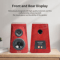 Denafrips Neptune two-frequency bookshelf speaker variant 7