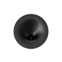 Perlisten R2ic variant 2