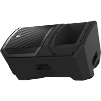 Electro-Voice EVIVA 15P variant 8