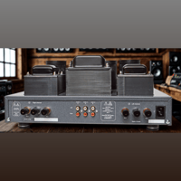 neoson EVOLUTION variant 6