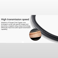 Cayin L450MM variant 2