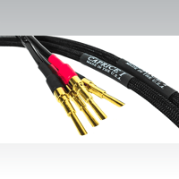 Tara Labs The Caprice I variant 1