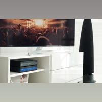 Meridian 210 variant 4