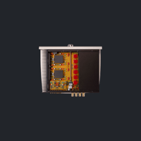 Norma Audio REVO IPA-80 variant 2